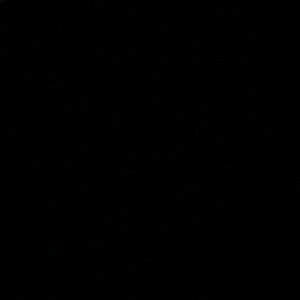 Meet your Posher, Fred